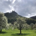 Reußenstein